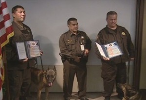 Two Sheriff Deputies and their Deputy Sheriff canines were recognized by the United States Postal Inspection Service today for their role in "Operation Club Shabu."
